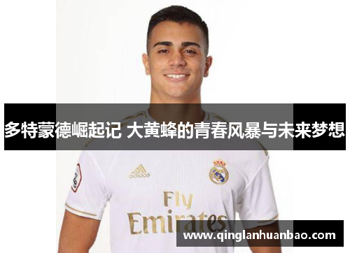 多特蒙德崛起记 大黄蜂的青春风暴与未来梦想