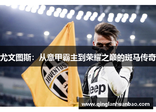 尤文图斯：从意甲霸主到荣耀之巅的斑马传奇