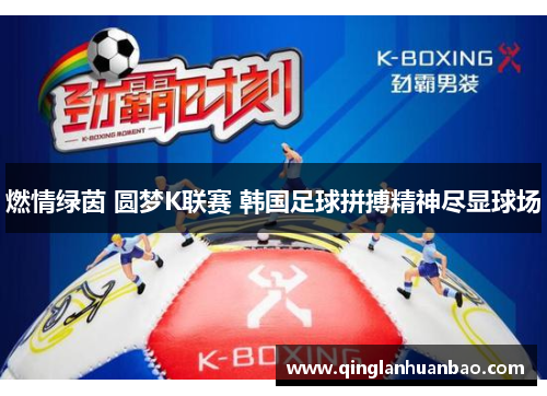 燃情绿茵 圆梦K联赛 韩国足球拼搏精神尽显球场