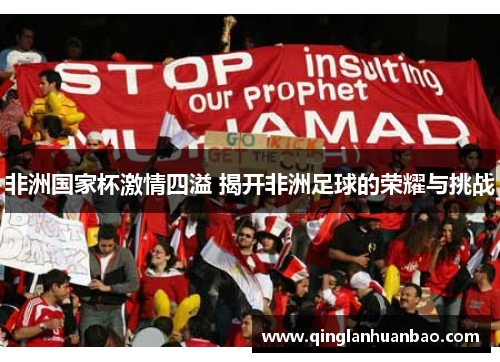 非洲国家杯激情四溢 揭开非洲足球的荣耀与挑战