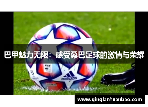 巴甲魅力无限：感受桑巴足球的激情与荣耀