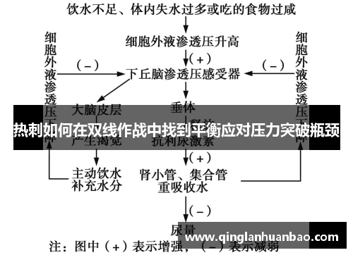 热刺如何在双线作战中找到平衡应对压力突破瓶颈